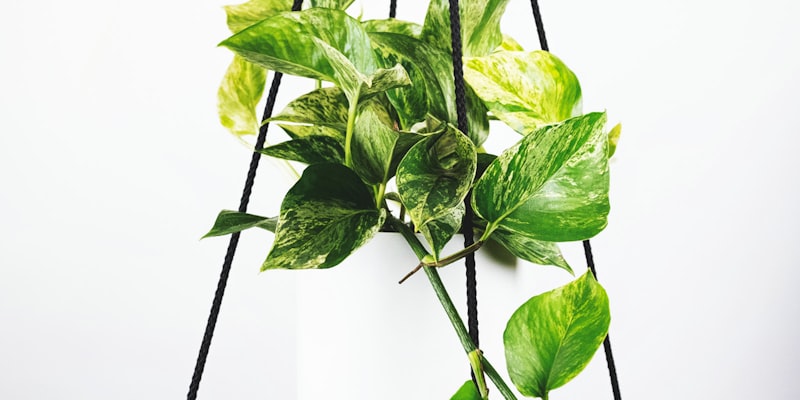 意甲联赛比赛画面 - 球员带球突破防守